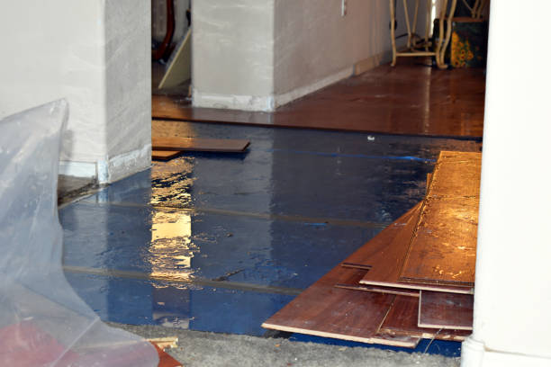 Professional Emergency Water Damage Restoration technician working in Orleans, IN